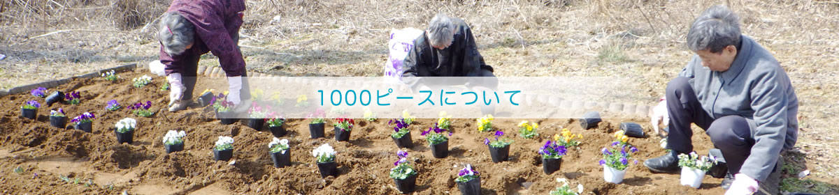 1000ピースについて